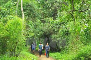 Cuc-Phuong-National-Park