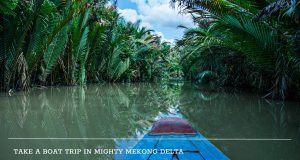 Mekong Delta