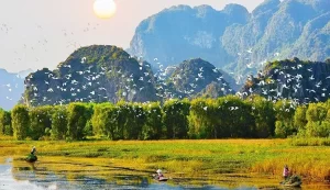 Van-Long-Nature-Reserve-Ninh Binh