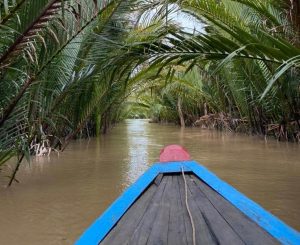 mekong-delta-viet-nam-043