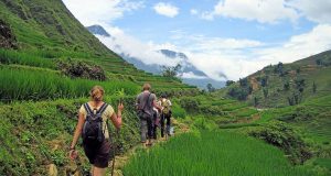 Day 6: A Journey through Nature - From Bamboo Forests to Hanoi