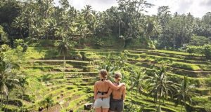 terrace-field-bali-1