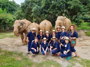 Chiang-mai-elephant-home-1