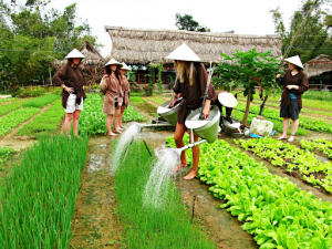 explore-insight-vietnam-local-tour-14-days-stretching-from-south-to-north-2