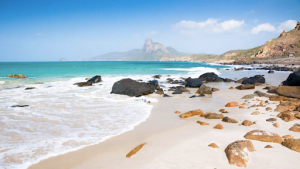 top-10-best-vietna-tours-khong-the-bo-lo-nam-2024-3