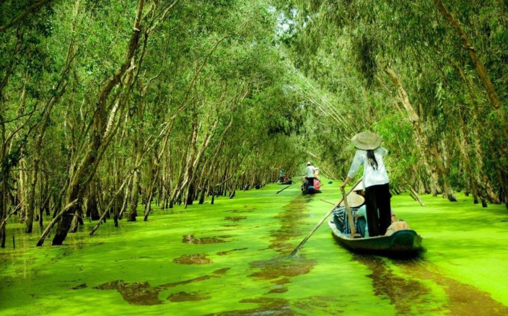 top-mekong-river-cruises-tours-2024-vietnamtour247_com-1.jpg