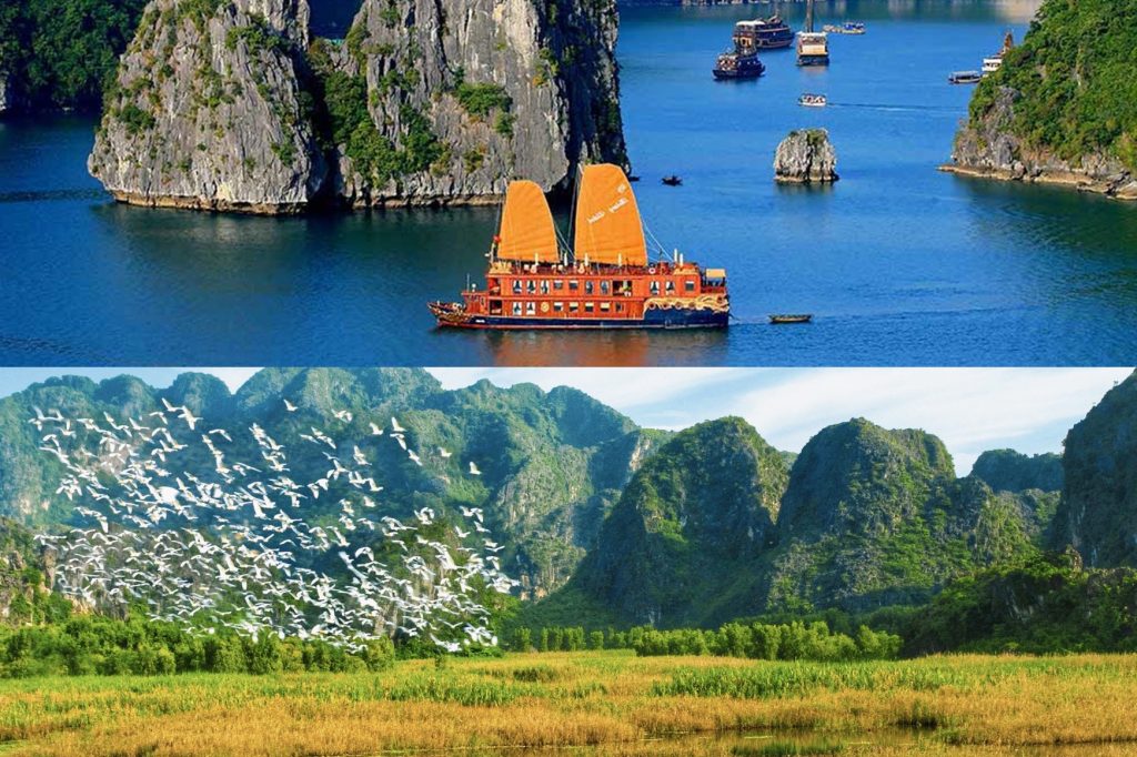 Why should you visit Ninh Binh and Ha Long Bay?