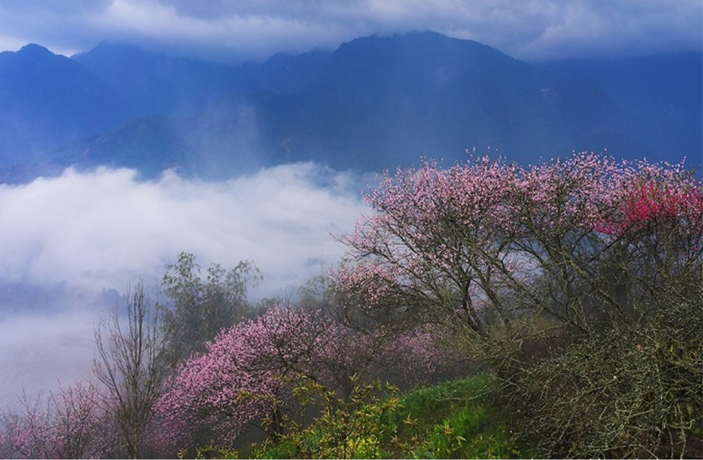 SaPa during Spring Best Time To Visit Sapa