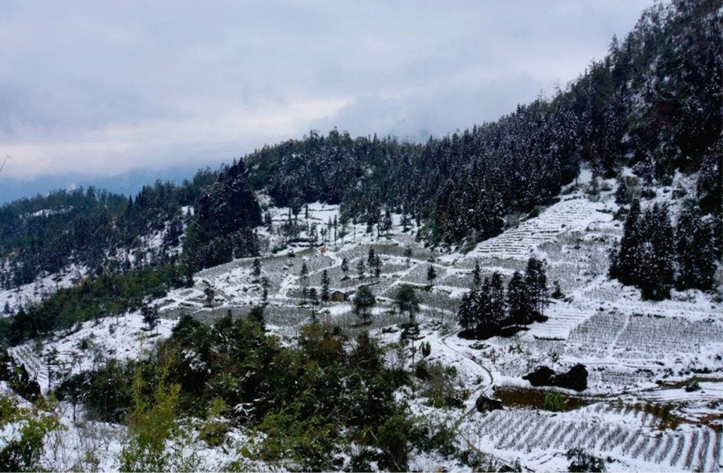 SaPa during Winter