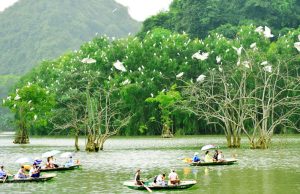 Thung Nham Bird Park, also known as Thung Nham Ecotourism Zone, is a beautiful nature reserve