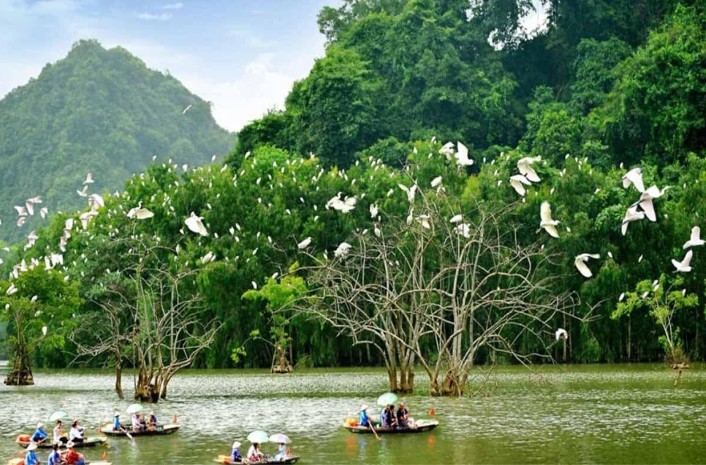 Introducing Thung Nham Bird Park - Explore The Wild And Amazing Nature in Ninh Binh