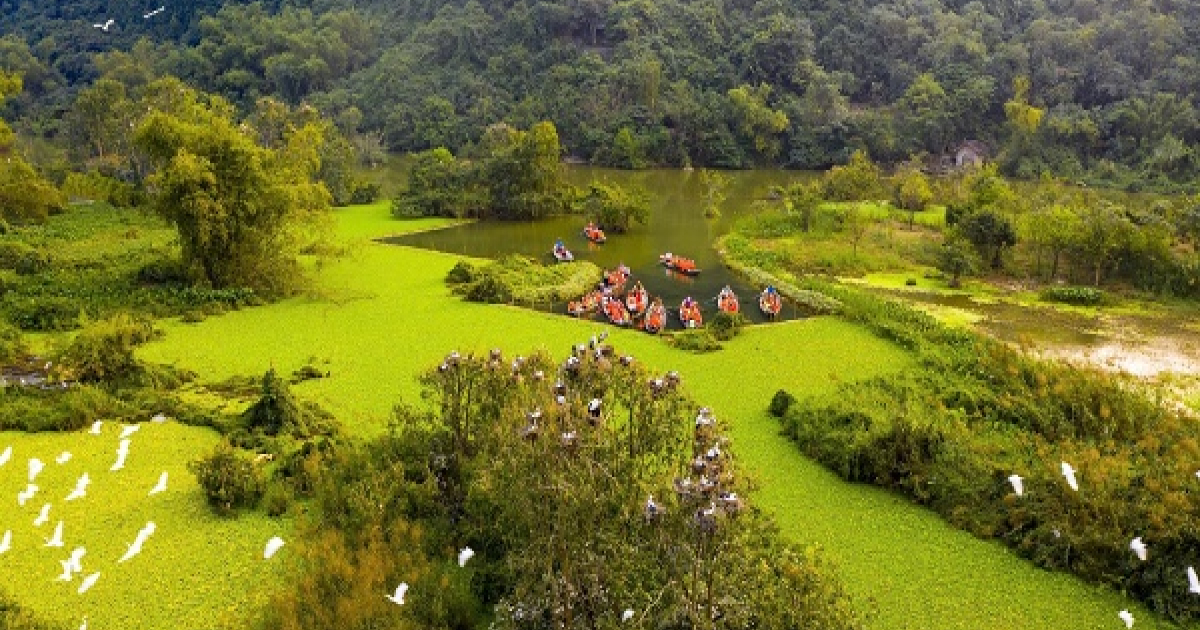 Thung Nham Bird Park - A Natural Song In The Heart Of Ninh Binh
