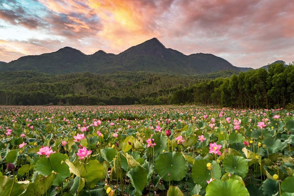 the-best-hoi-an-day-trips-4