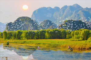 Thung Nham Bird Park is part of the well-known Trang An picturesque complex
