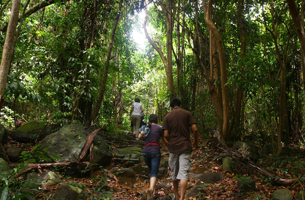 Activities and Attractions in Binh Chau National Forest