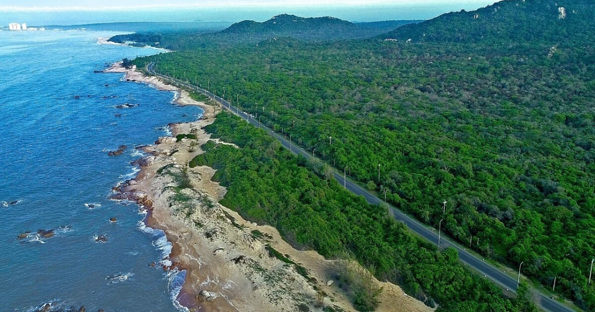 Binh Chau National Forest