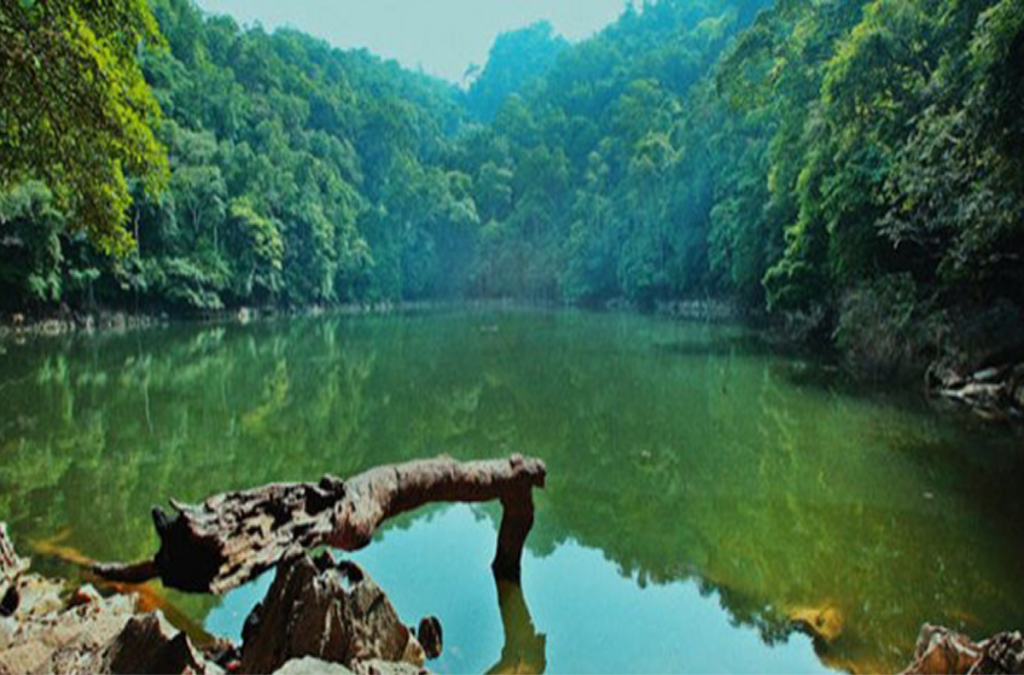 Overview Of Binh Chau National Forest