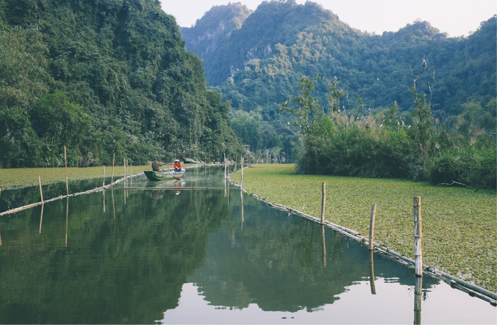 the Best Time To Visit Thung Nham Bird Park 