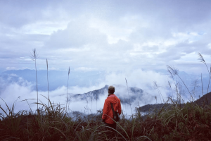 best-time-to-visit-ha-giang-vietnam-ultimate