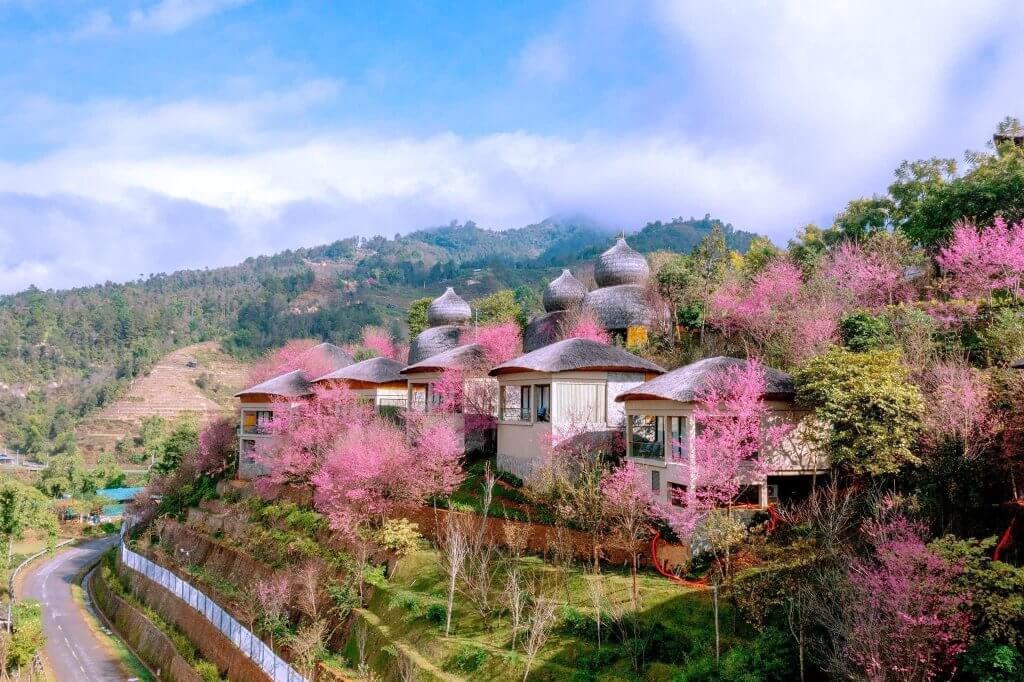 ultimate-guide-to-best-camping-sites-in-vietnam