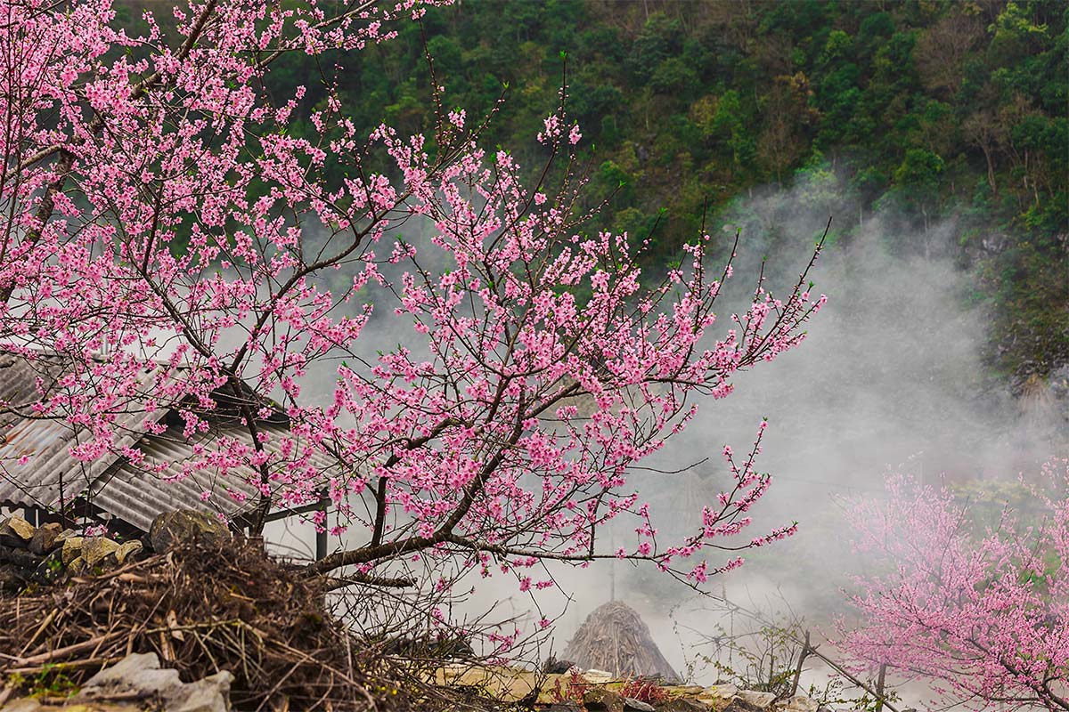 the-ultimate-ha-giang-vietnam-weather