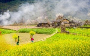 ha-giang-vietnam-from-ha-noi-travel-guide