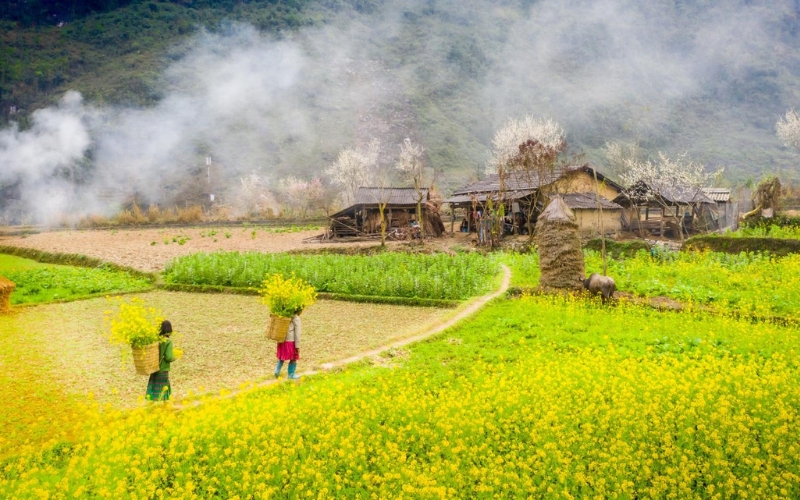 ha-giang-vietnam-from-ha-noi-travel-guide