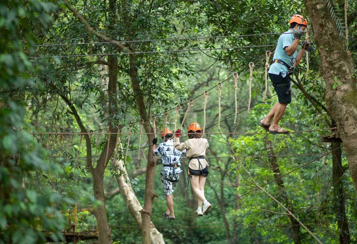 explore-ozo-tree-park-conquer-longest-treetop