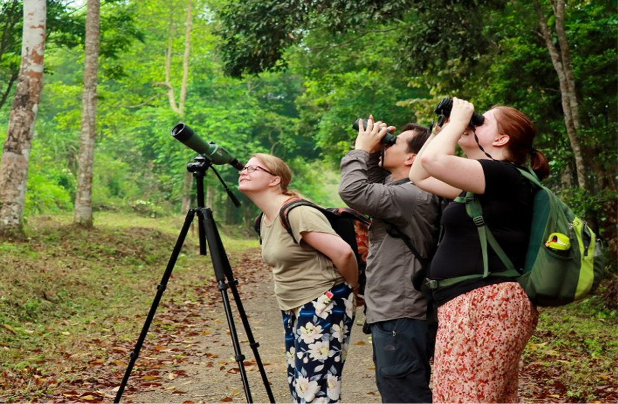 Exploring Conservation Centers Inside the Park