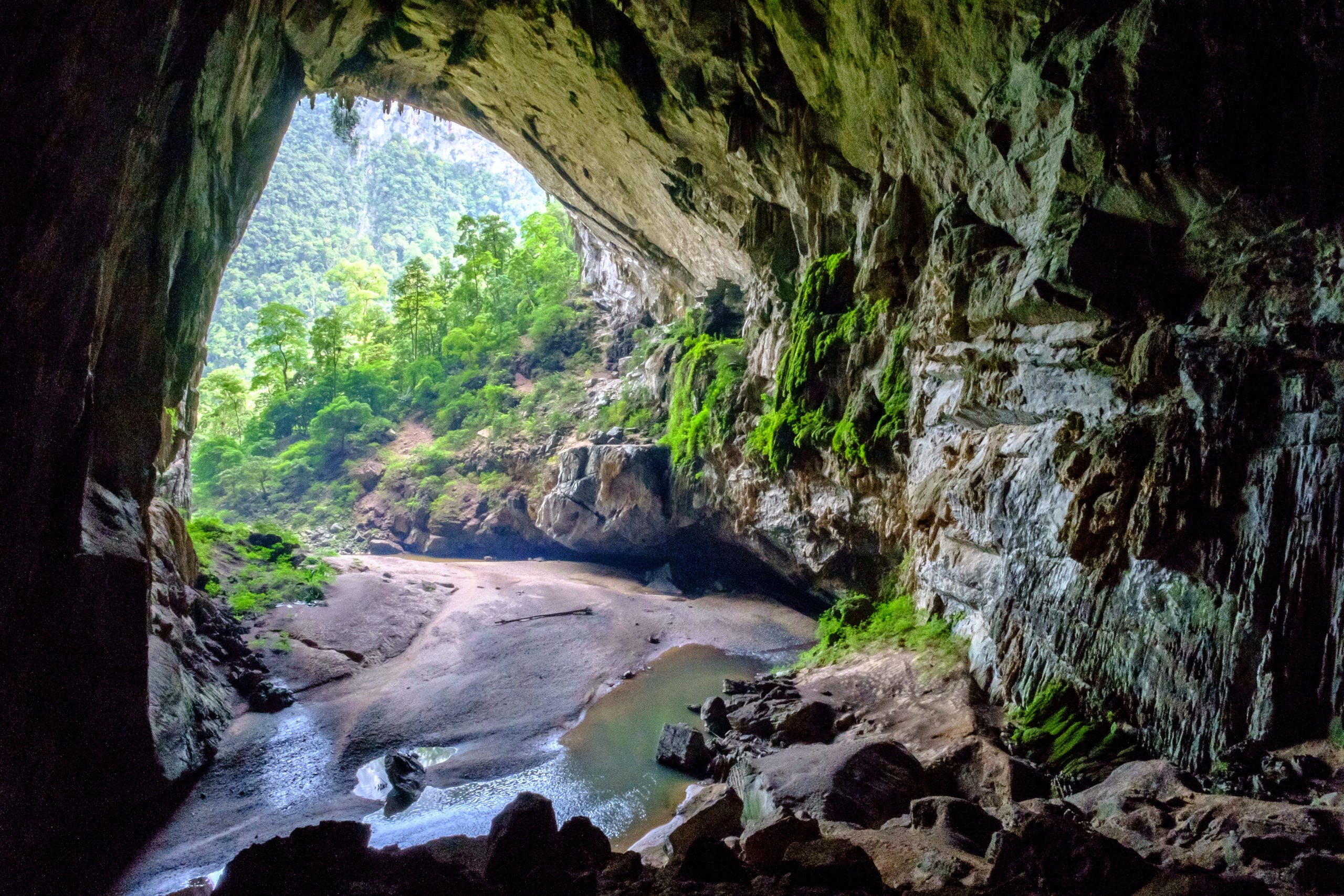 hang-en-cave-the-ultimate-guide-in-vietnam