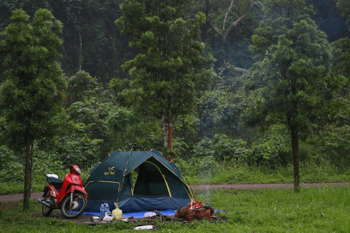 Camping, Picnic, and Nature Photography
