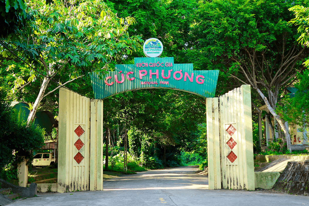Overview of Cuc Phuong National Park