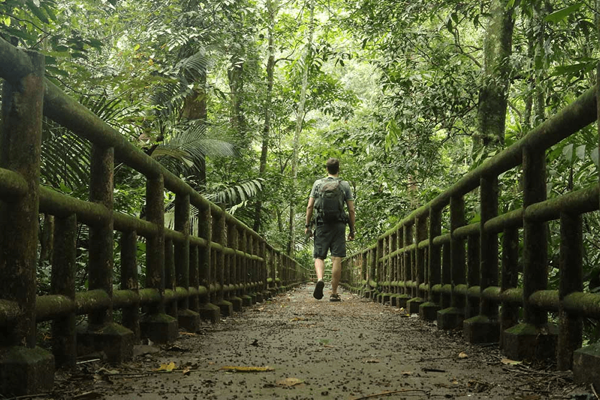 Trekking to the Five Thousand-Year Cho Chi Trees and Exploring Ancient Caves