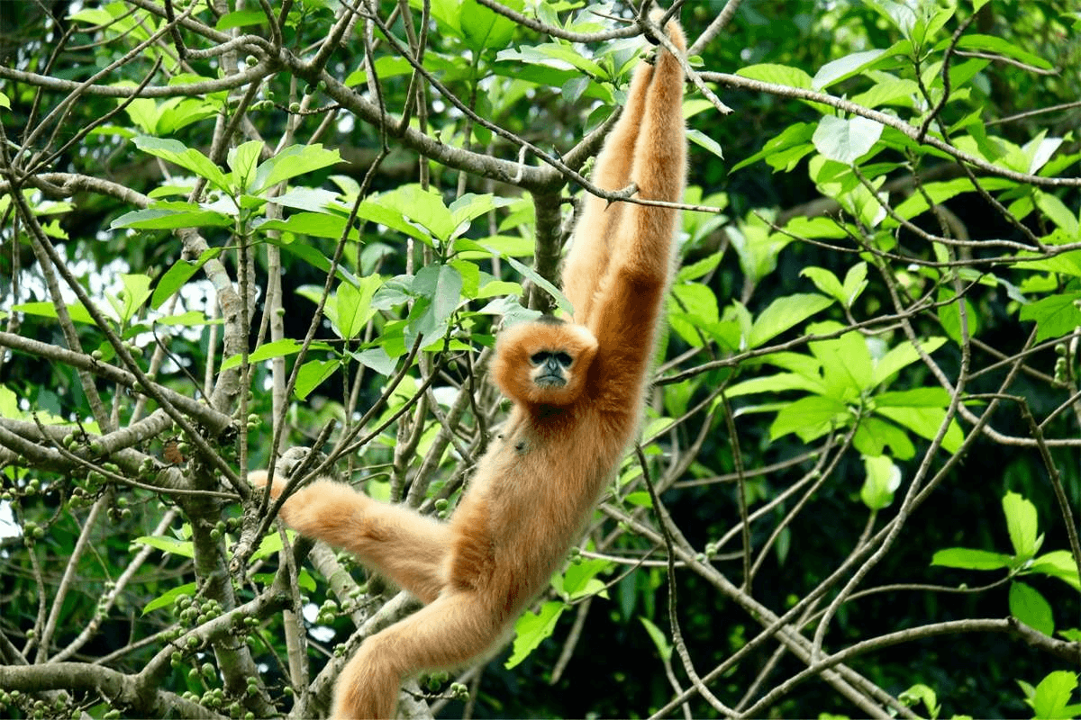 Visiting Biodiversity Conservation Sites