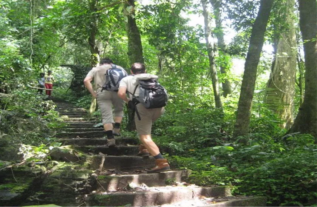 Trekking to the Five Thousand-Year Cho Chi Trees and Exploring Ancient Caves