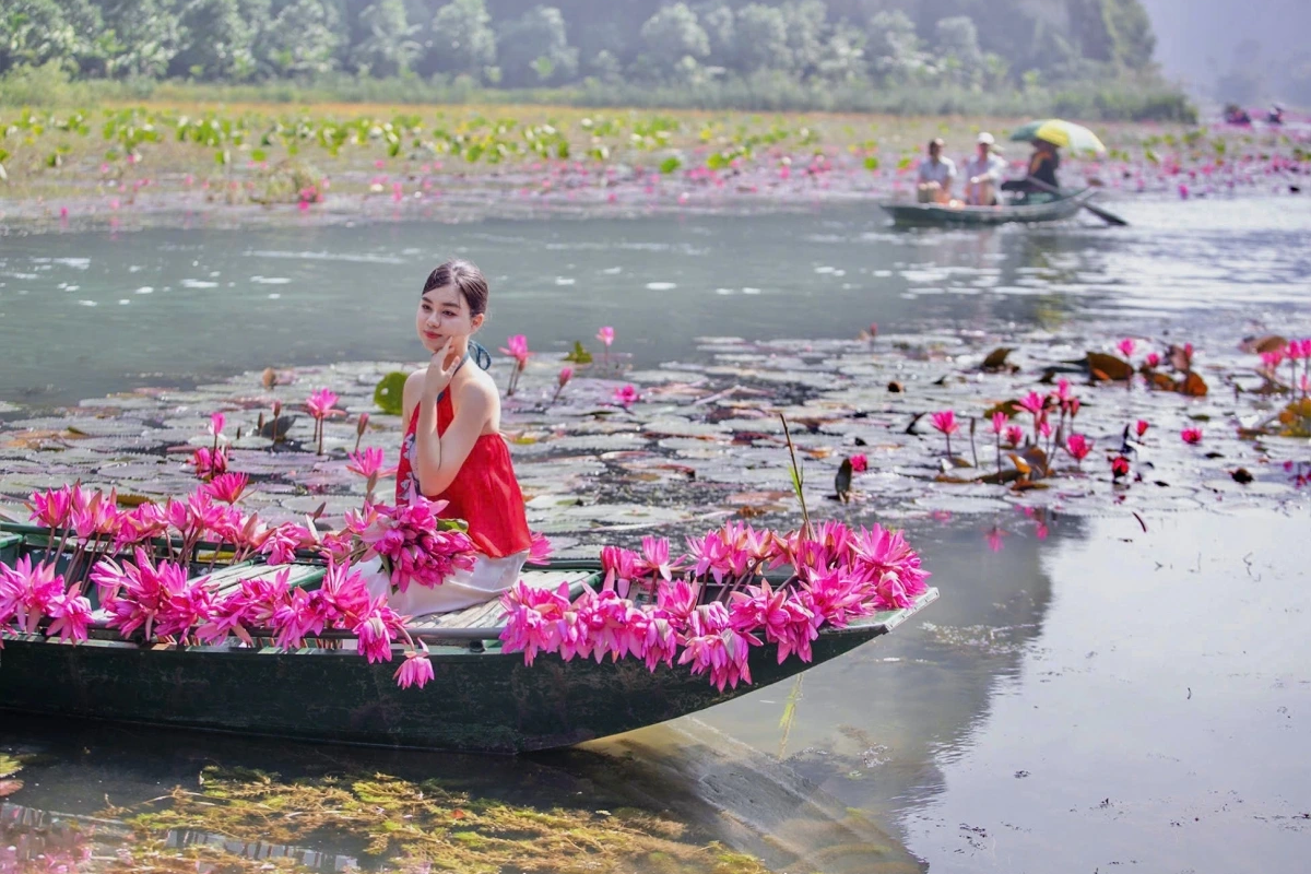 Những địa điểm ngắm hoa súng đẹp nhất ở Ninh Bình vào mùa nở hoa