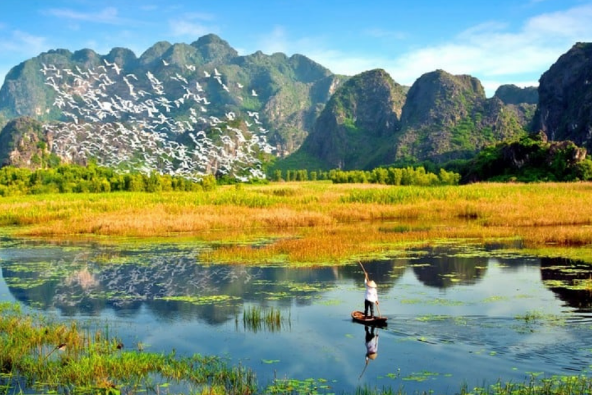 Best Things to Do in Van Long Lagoon Ninh Binh