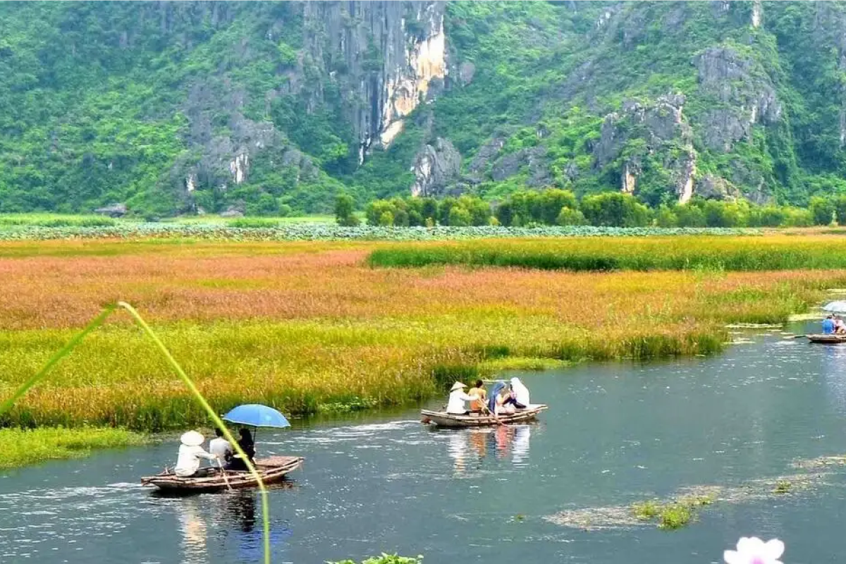 Best Things to Do in Van Long Lagoon Ninh Binh