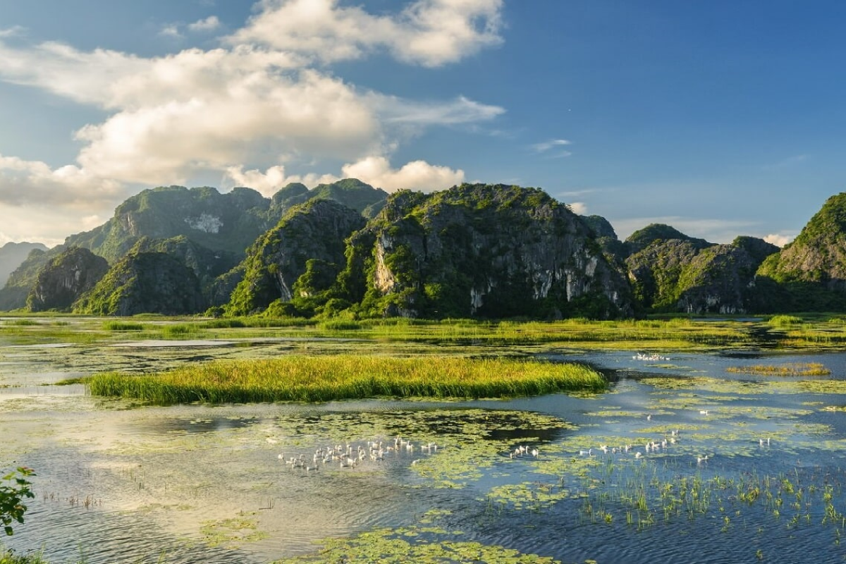 Introduction to Van Long Lagoon Ninh Binh