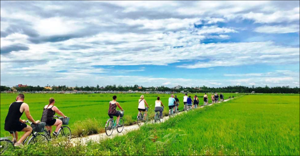 Ninh Binh Bike Tour: Explore the Countryside