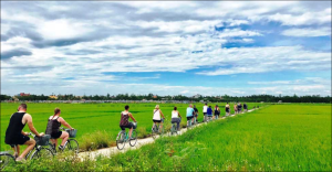 Ninh Binh Bike Tour: Explore the Countryside