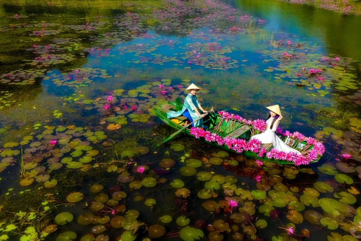 Mùa hoa súng ở Ninh Bình là khi nào?