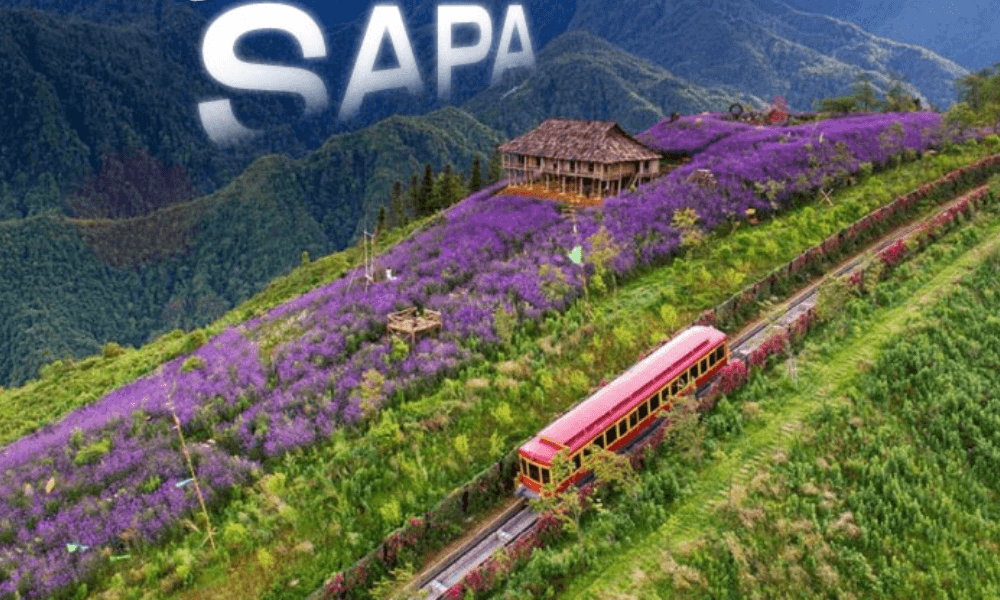 ta van village homestay Bìa