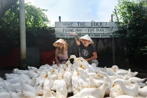discover-amazing-duck-stop-quang-binh-vietnam
