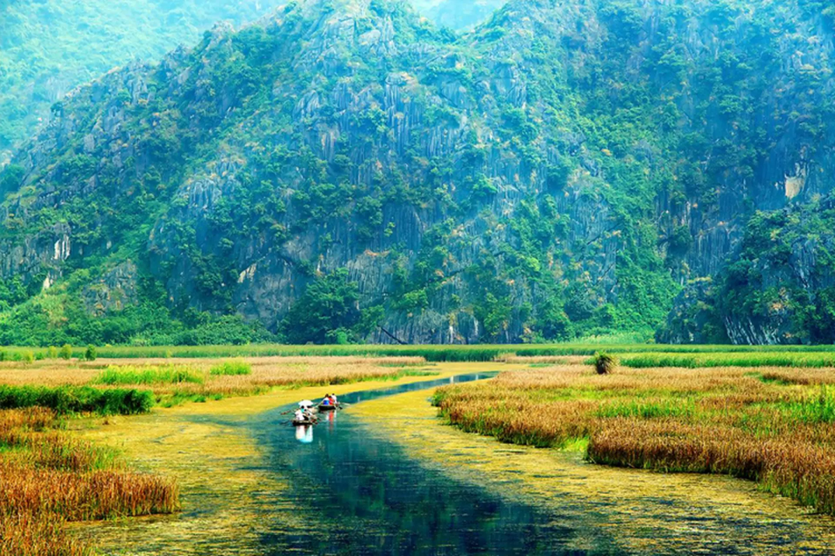 Tips for Visiting Van Long Lagoon