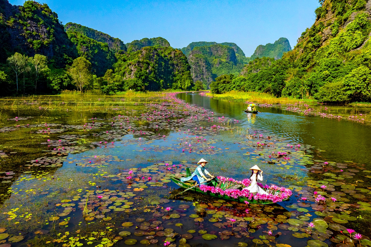 Những trải nghiệm độc đáo trong mùa hoa súng ở Ninh Bình