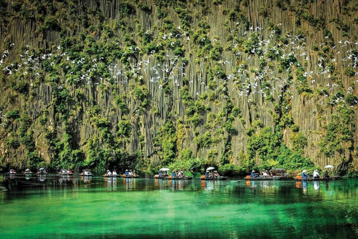 Van Long Nature Reserve