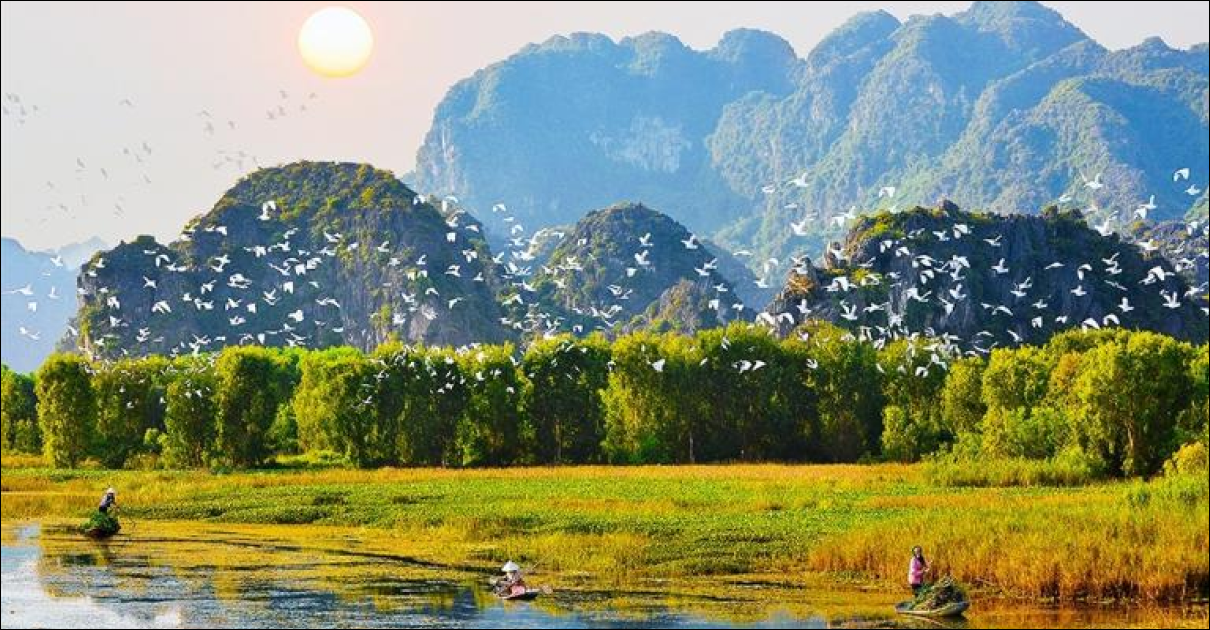 Van Long Lagoon Ninh Binh: Complete Guide