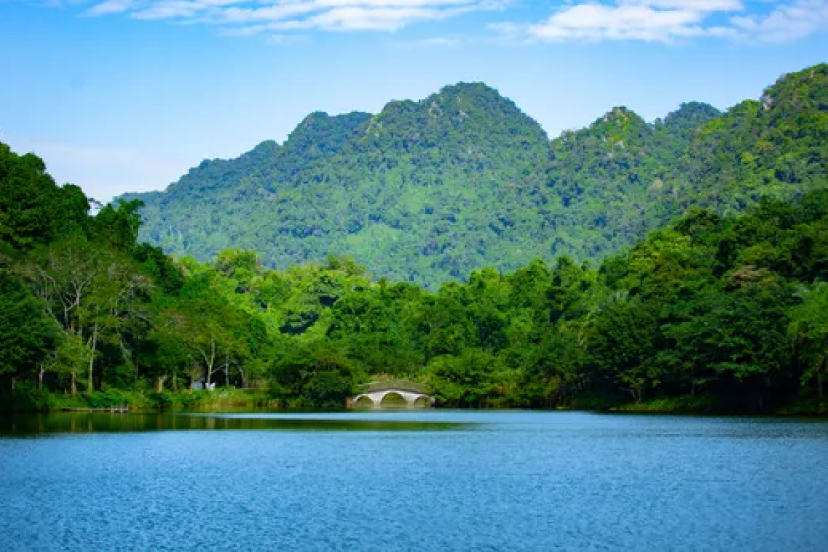Overview of the National Park System in Vietnam