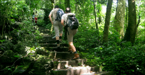 What to Do in Cuc Phuong National Park: Complete Guide